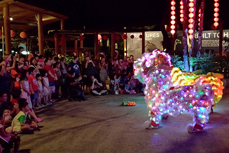 Night Safari CNY