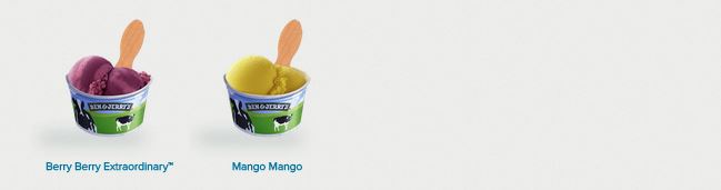 Ben Jerry Flavour 2