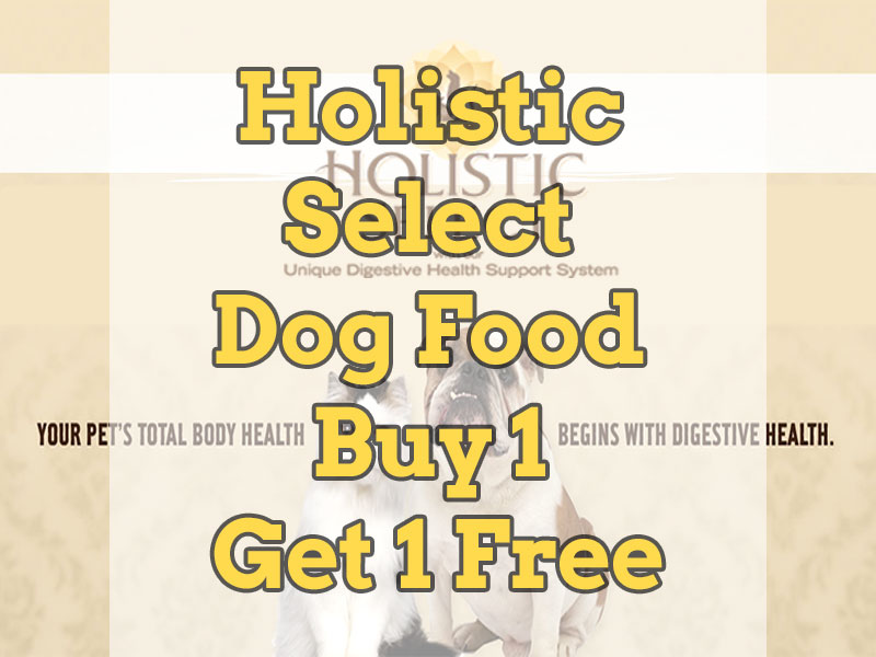 Holistic 1 for 1