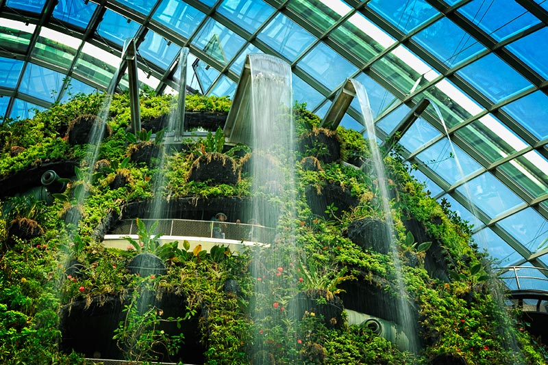 Cloud Forest (Image credit: Gardens by the Bay)