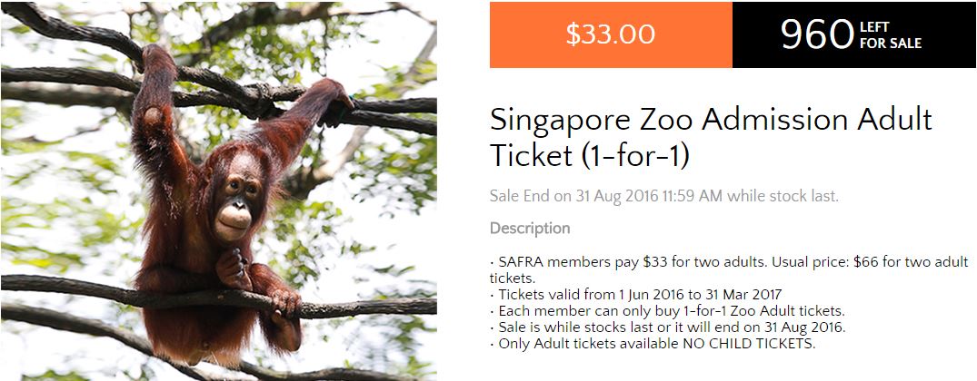 Singapore Zoo 1 for 1