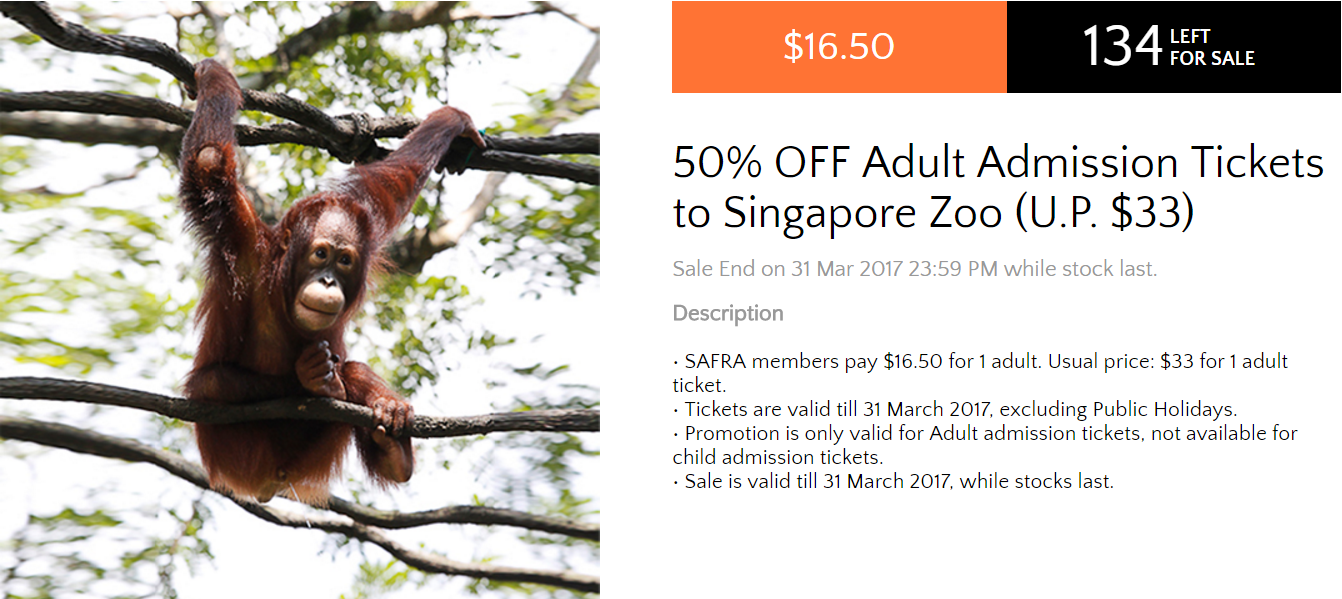 singapore zoo 2