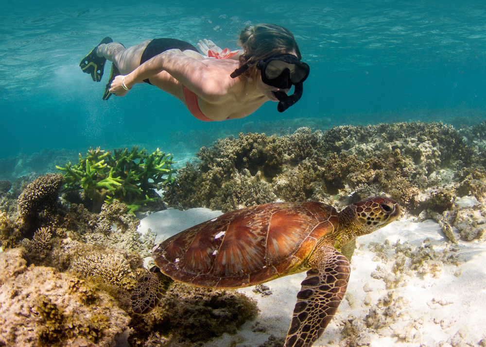 Ningaloo Marine Park