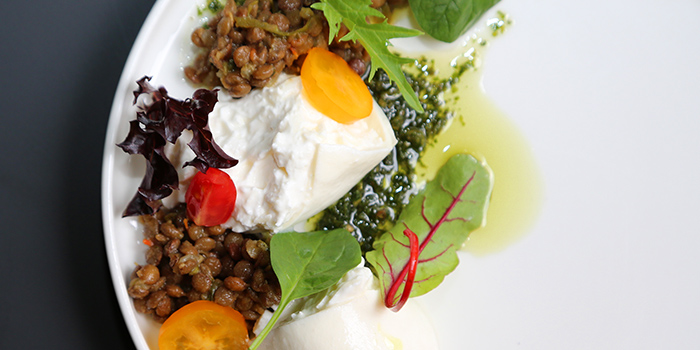 CLG_Buratta_Spiced_Lentil_Sala_1495624141