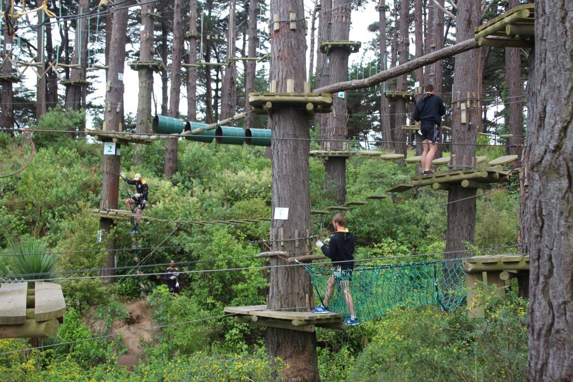 (Image: Adrenalin Forest NZ, via Facebook)