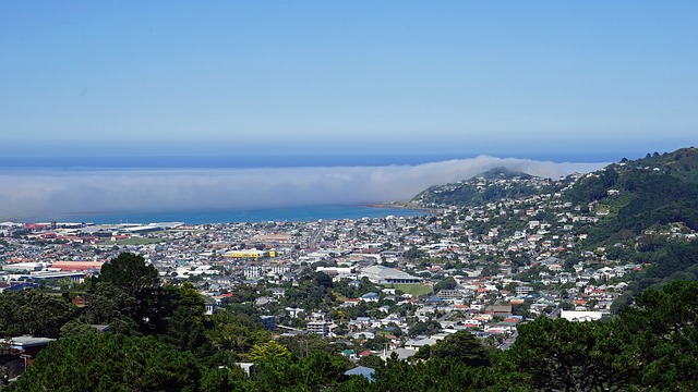 wellington-2151564_640