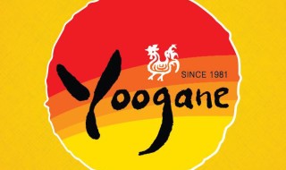 Yoogane Promotion 311214