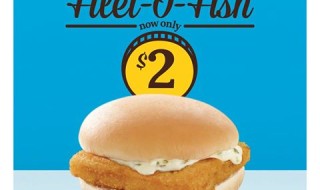 Mc Fillet O Fish 260215