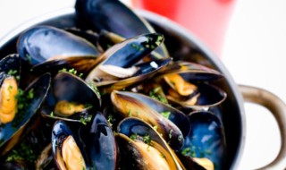 Brussel Mussel