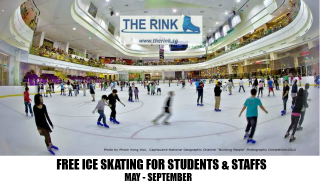 The Rink Featured