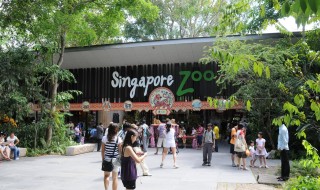 Singapore Zoo