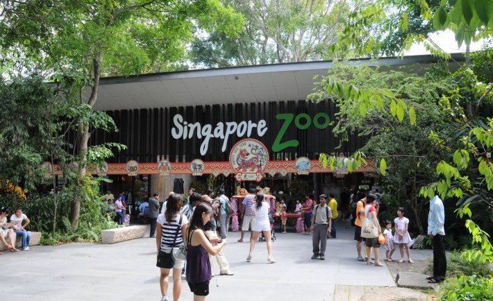 Singapore Zoo