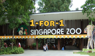 Singapore zoo 1 for 1