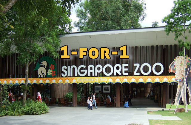 Singapore zoo 1 for 1