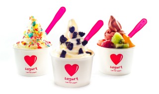 sogurt new