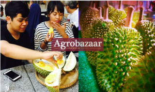 Agrobazaar MY