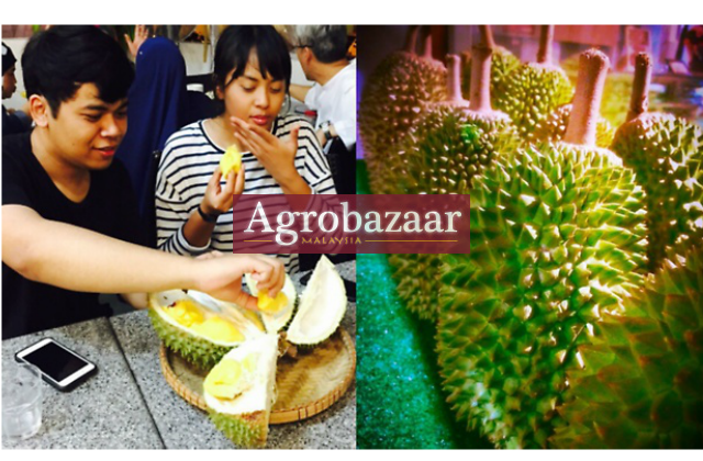 Agrobazaar MY