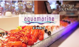 AquaMarine 1-for-1