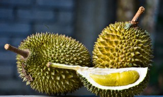 Mao Shan Wang Durian, Musang King