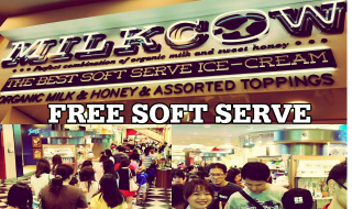 Milkcow Free Soft Serve