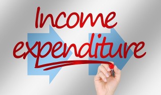 Income Expenses
