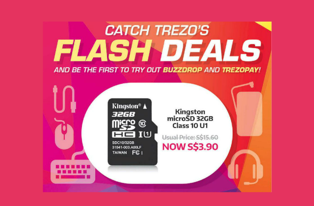 Trezo Flash Deal Kingston microSD 32GB