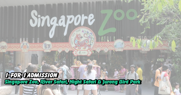 Singapore zoo 1 for 1