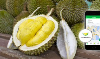 grabdurian 2