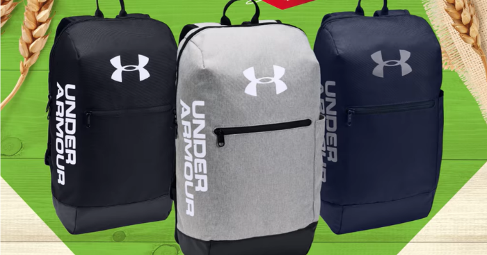 under armour backpack 2019