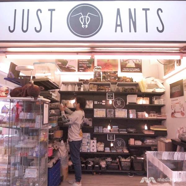 exterior-of-ant-shop-just-ants