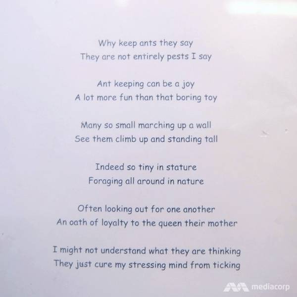just-ants-ant-poem