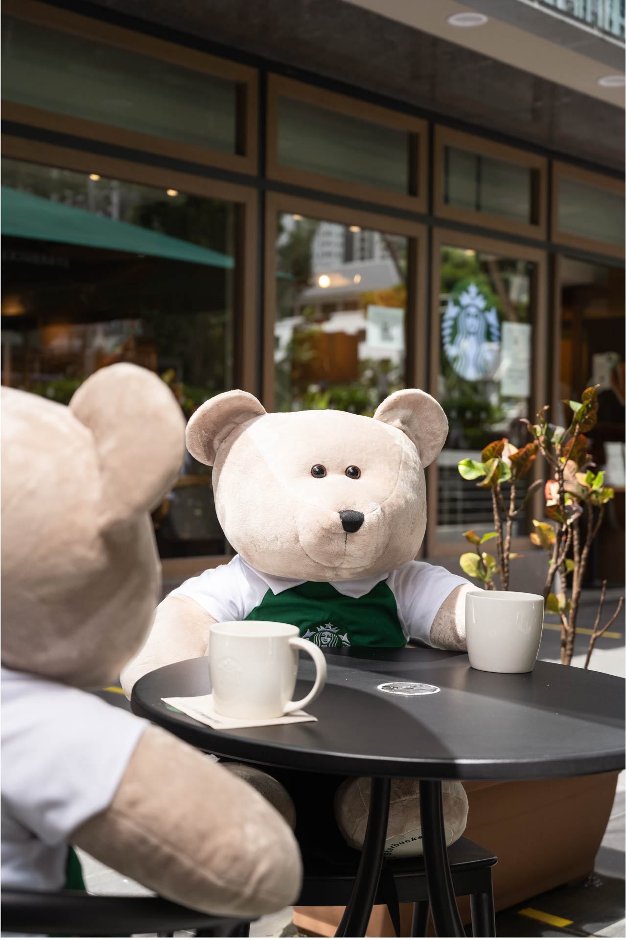 Starbucks S’pore selling Giant Starbucks Bearista® Plush at S$169 from 26 Oct 20. - 2