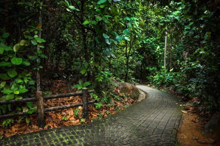 Bukit Batok Nature Reserve