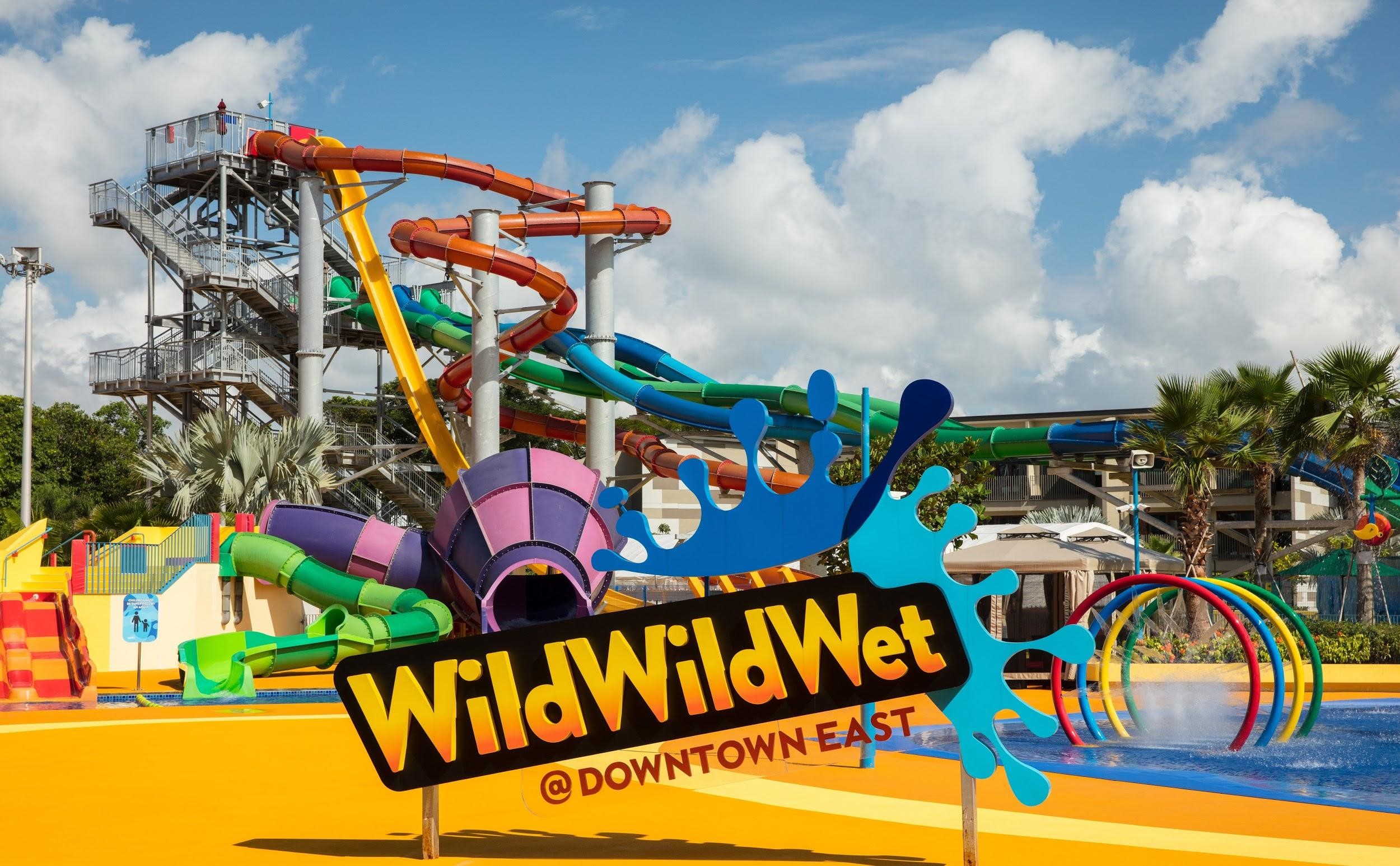 Welcome 2021 with 50% OFF 2nd Adult Day Pass at Wild Wild Wet! - 2