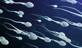 sperm health