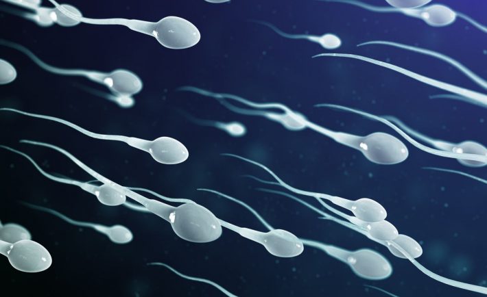 sperm health