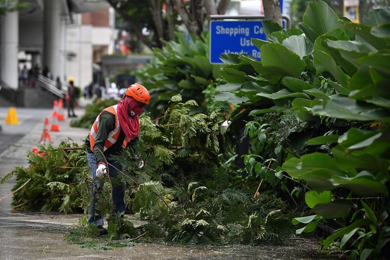 foreign labour gathering branches