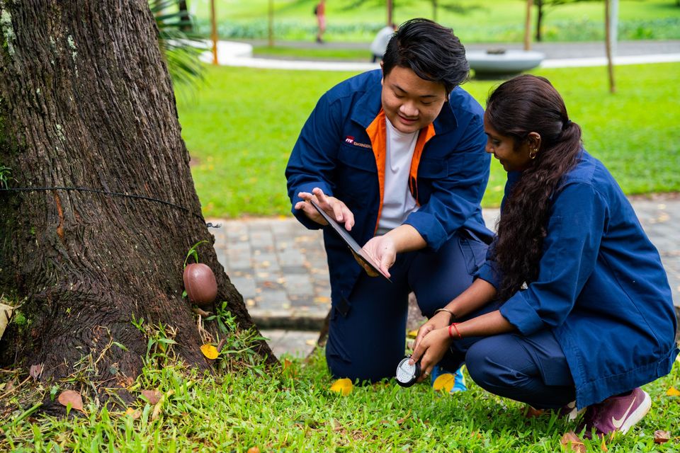 new jobs for Singaporeans