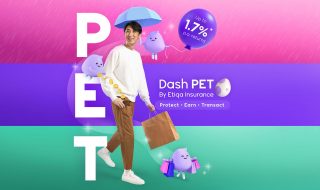 Dash PET cover image