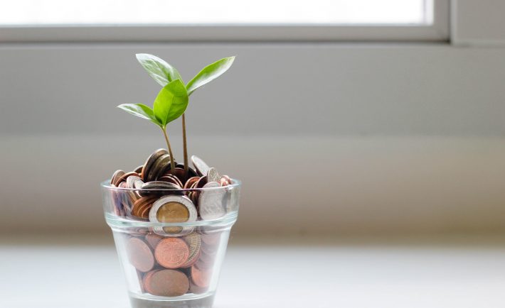 green plant in a pot of coins