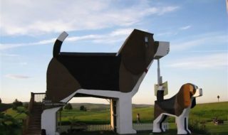 Dog Bark Park Inn B&B, United States