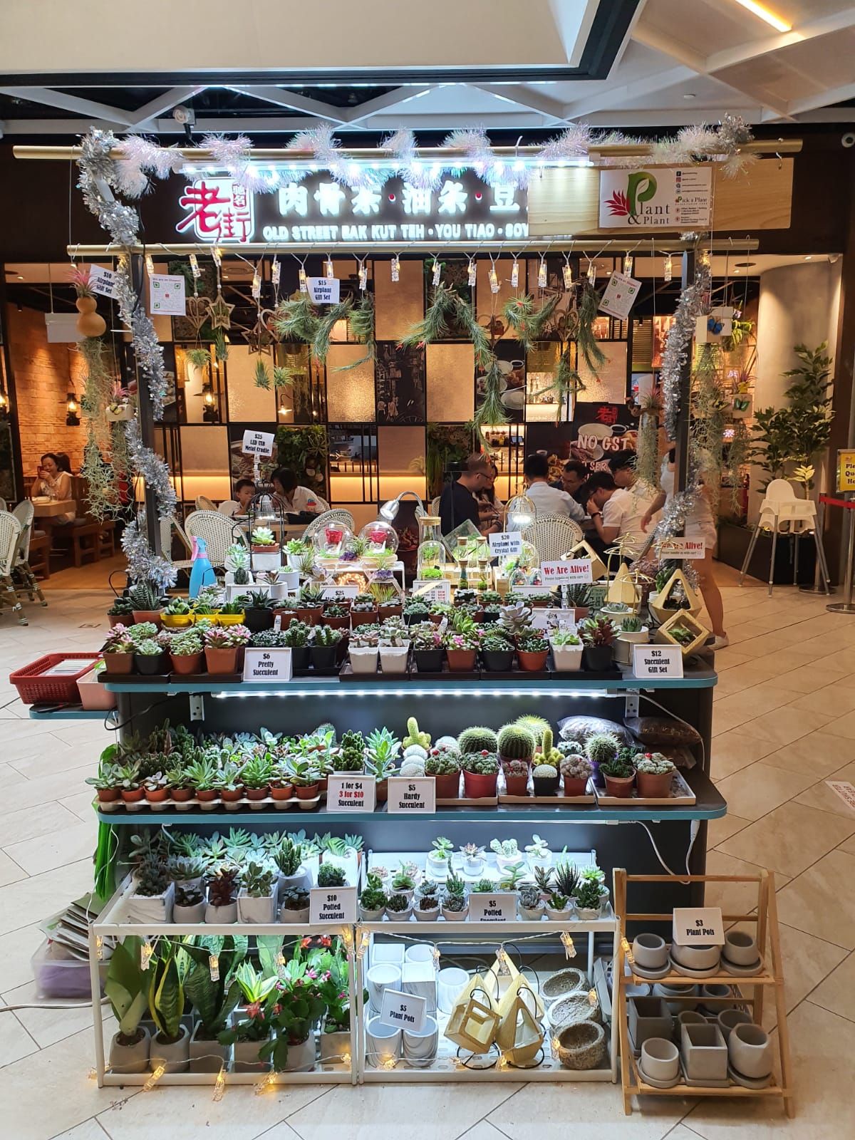 BudgetFriendly Sources For Plants & Gardening Essentials In Singapore