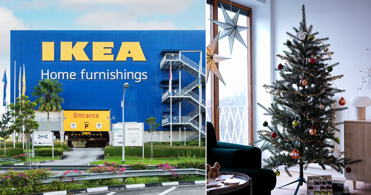IKEA S'pore selling live Christmas tree from S59; gives you S25 back
