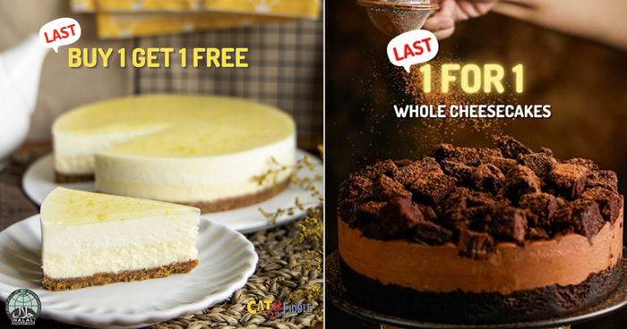 Lobang: 11.11 Promo: 1-FOR-1 Whole Cheesecakes at Cat & the Fiddles Cake From 11 - 12 November 22 - 1