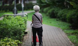 an elderly pushing a grocery cart