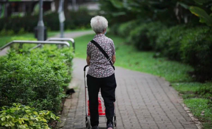 an elderly pushing a grocery cart