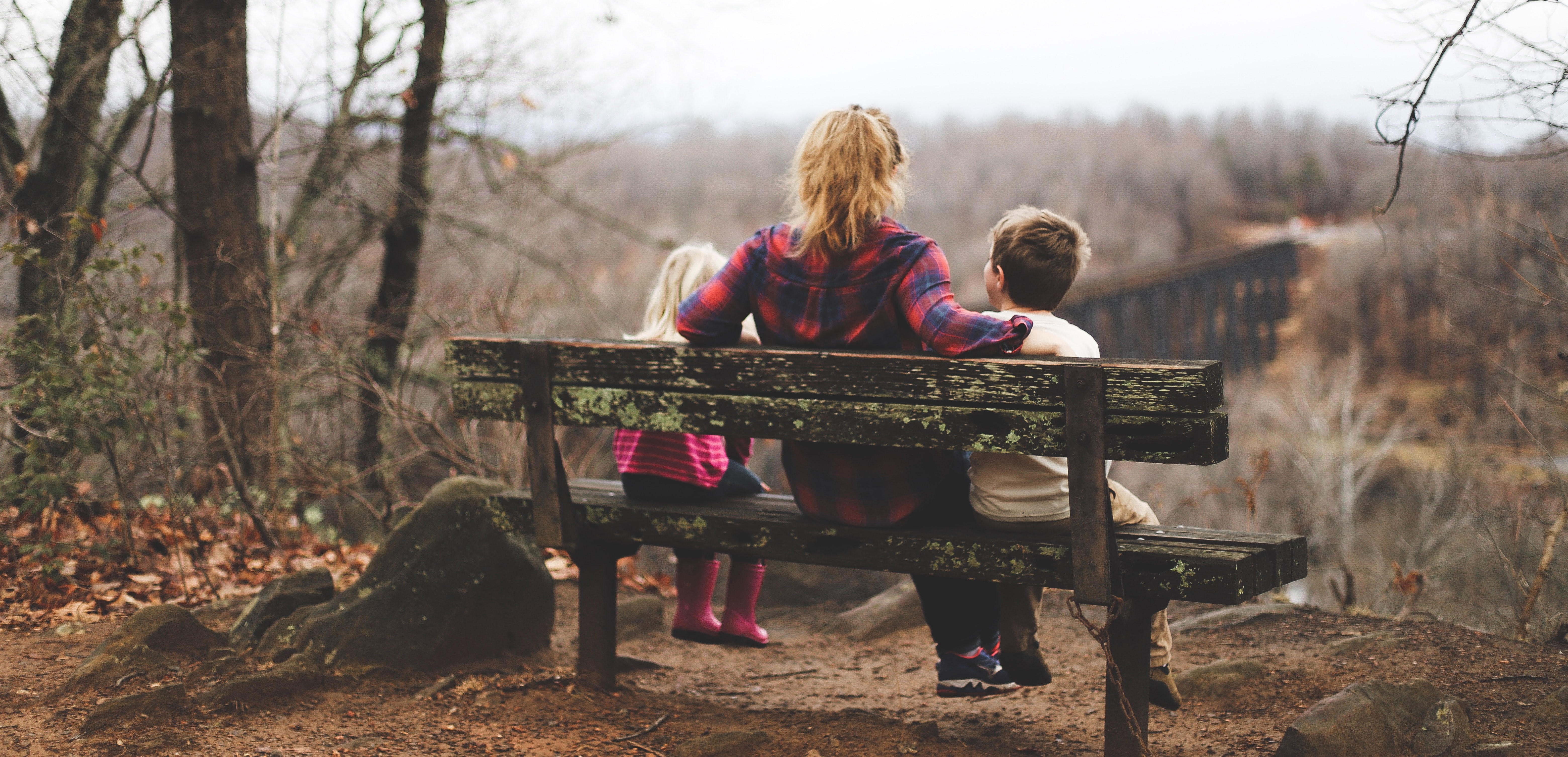 mother and children sitting on a bench in the woods