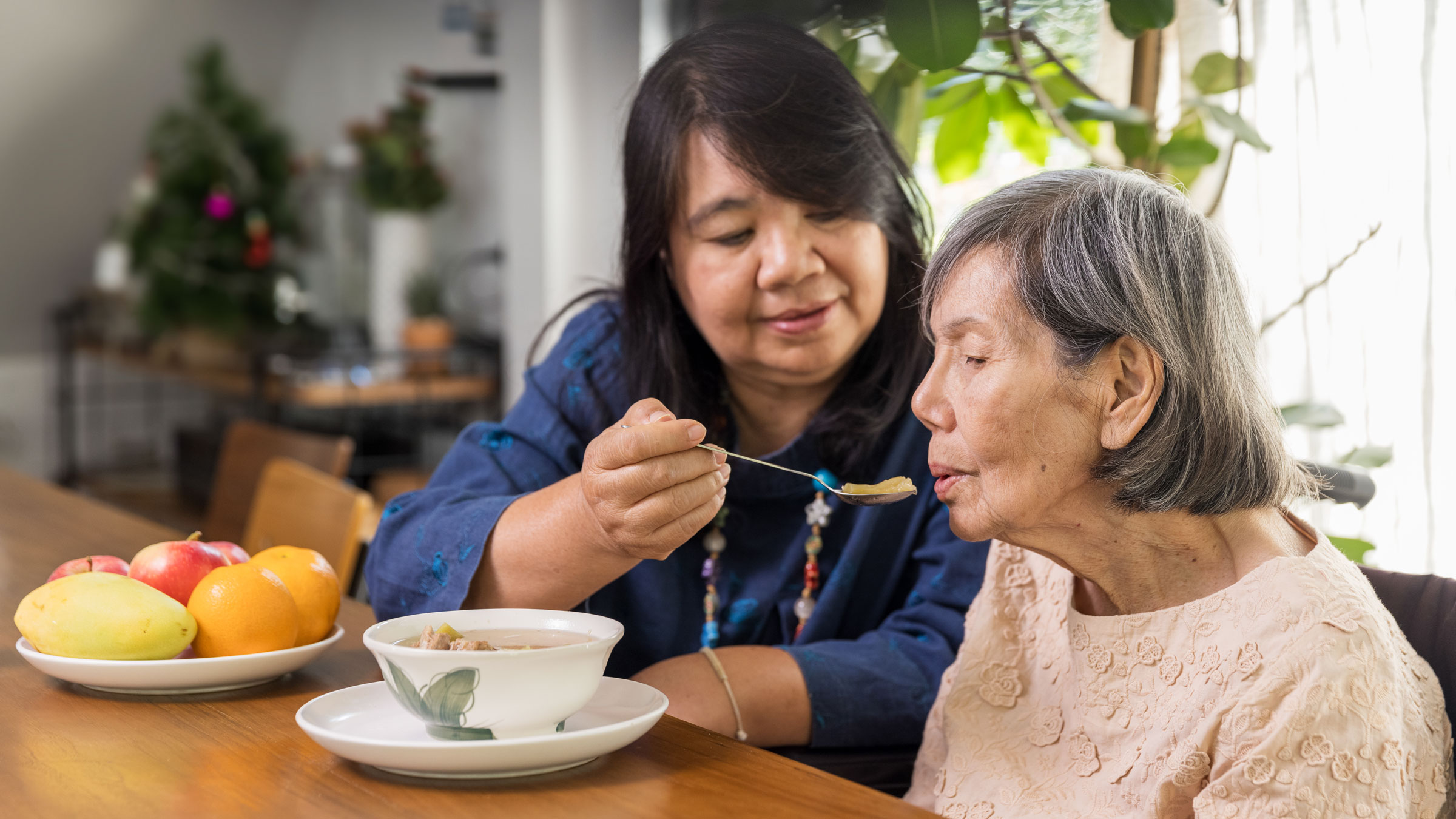 daugher_feeding_elderly_mother