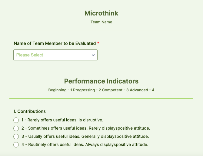 sample peer evaluation form