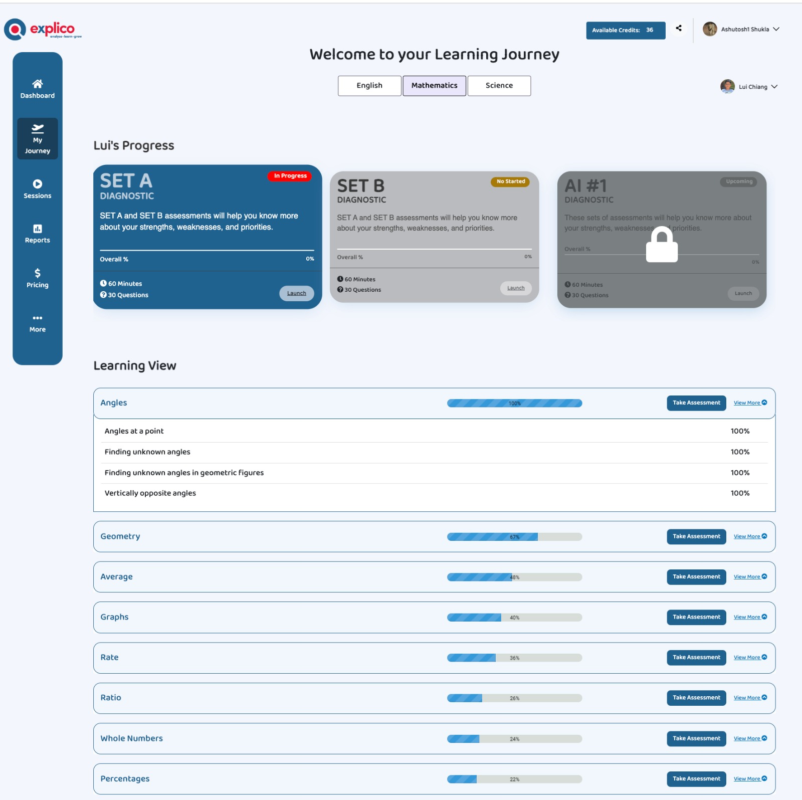 sample Explico assessment